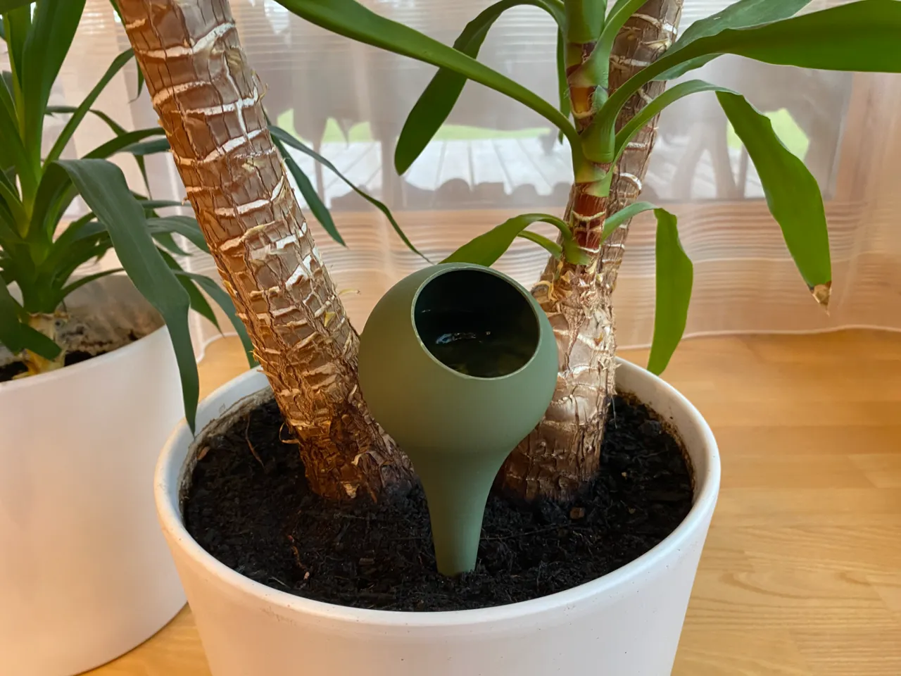 Plant Watering Globe view 4