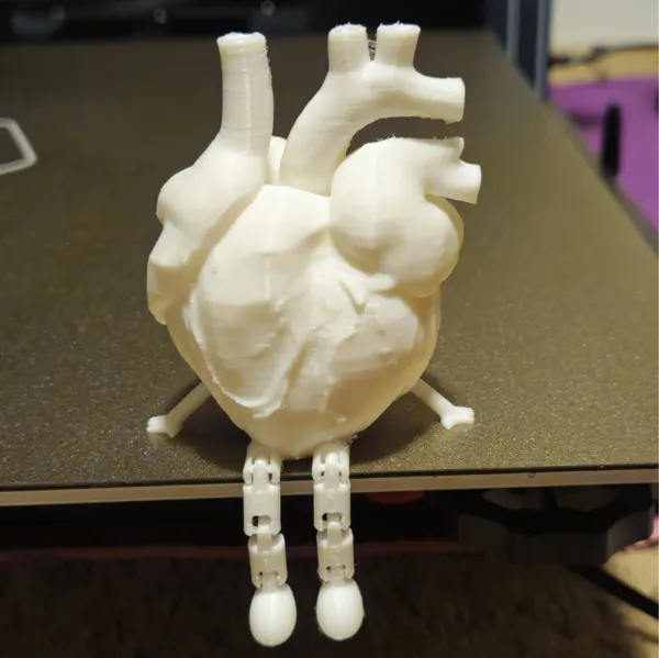 https://makerworld.bblmw.com/makerworld/model/US436ba9220795fb/design/2025-01-08_f9addcf620e6a8.jpg