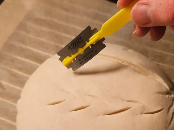 https://makerworld.bblmw.com/makerworld/model/US4375be5b649149/design/2024-11-16_3fc9861996606.jpg