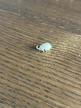 Accesorio para boquillas: The smallest beetle in the world (Nozzle 0.4) — vista de referencia 3