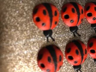 Mini Ladybug beads