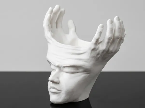 https://makerworld.bblmw.com/makerworld/model/US437784486ed500/design/5403fa2f29eb1872.png