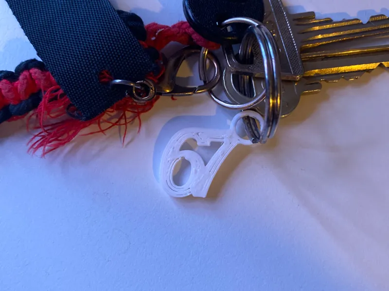 Funny 67 Keychain!