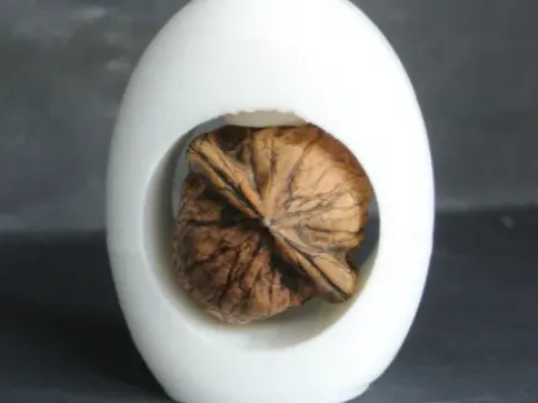 https://makerworld.bblmw.com/makerworld/model/US438ba89dc58b90/design/2025-06-26_5837fb3d094848.webp