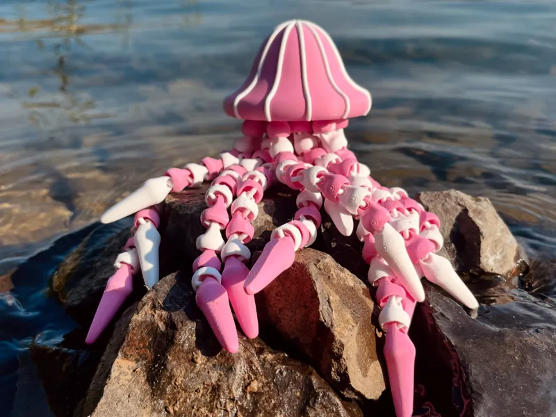 Jelly Fish Stellarion
