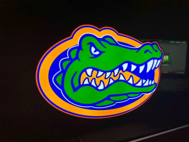 Florida Gators Light Box