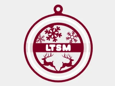 Ornament v3 LTSM