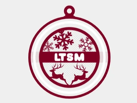 Ornament v3 LTSM