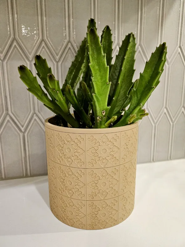 https://makerworld.bblmw.com/makerworld/model/US438ec501d61669/design/2024-02-06_5e6a9e68f6669.jpg