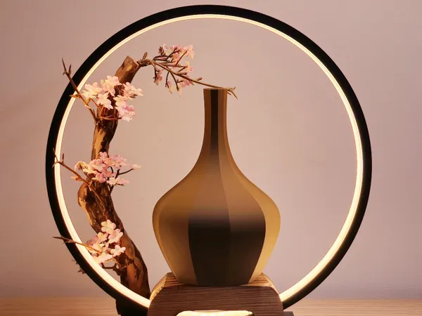 https://makerworld.bblmw.com/makerworld/model/US438fa5909a6ab5/design/2025-04-21_19ce95618d6978.jpg