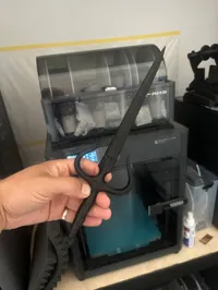 V1