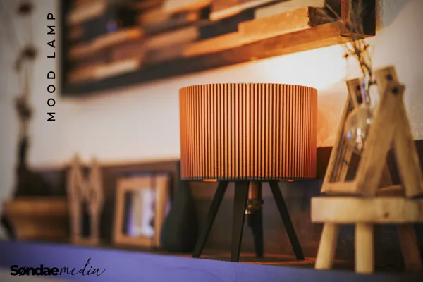 https://makerworld.bblmw.com/makerworld/model/US43958acb87902b/design/2024-02-05_f6999844d000e.jpg