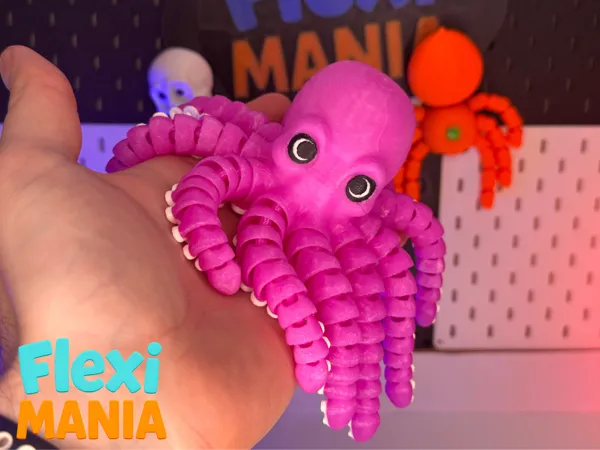 https://makerworld.bblmw.com/makerworld/model/US439903df1093ba/design/2025-12-23_07ad9d9e01f9c8.png