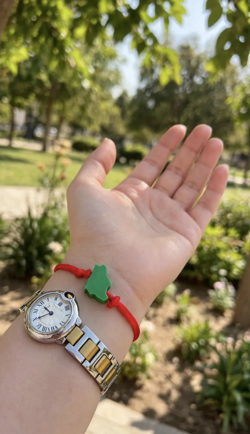 Boost Saudi Saudi Arabia bracelet red line - Free 3D Print Model - MakerWorld