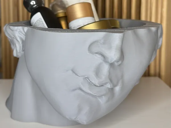 https://makerworld.bblmw.com/makerworld/model/US439cdec31de65e/design/2024-12-31_1a4d34d4f2bb7.jpeg