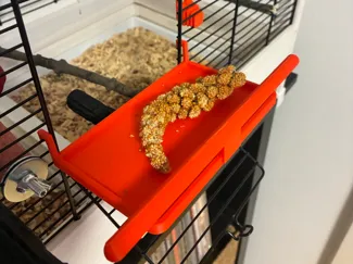 Bird cage platform