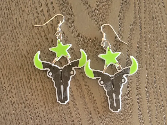 Outlaws Earrings