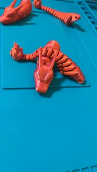 Tail & Head Keychains