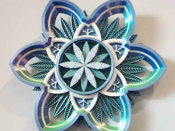 https://makerworld.bblmw.com/makerworld/model/US43a2d5c328c018/design/2025-02-13_c39972d1a93b1.png
