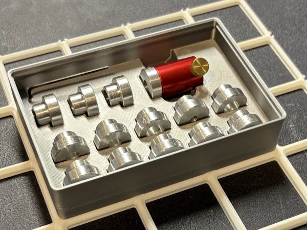 https://makerworld.bblmw.com/makerworld/model/US43a4c3a803782c/design/2025-11-01_e4f304e304c018.jpeg