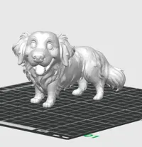 0.16mm layer, 2 walls, 10% infill