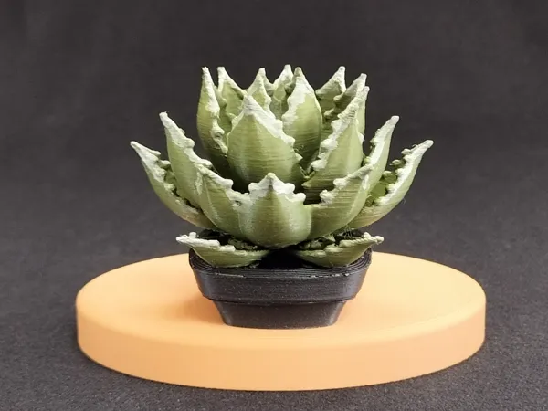 https://makerworld.bblmw.com/makerworld/model/US43a815bf6d890f/design/2025-05-16_30a02a85494a98.jpg