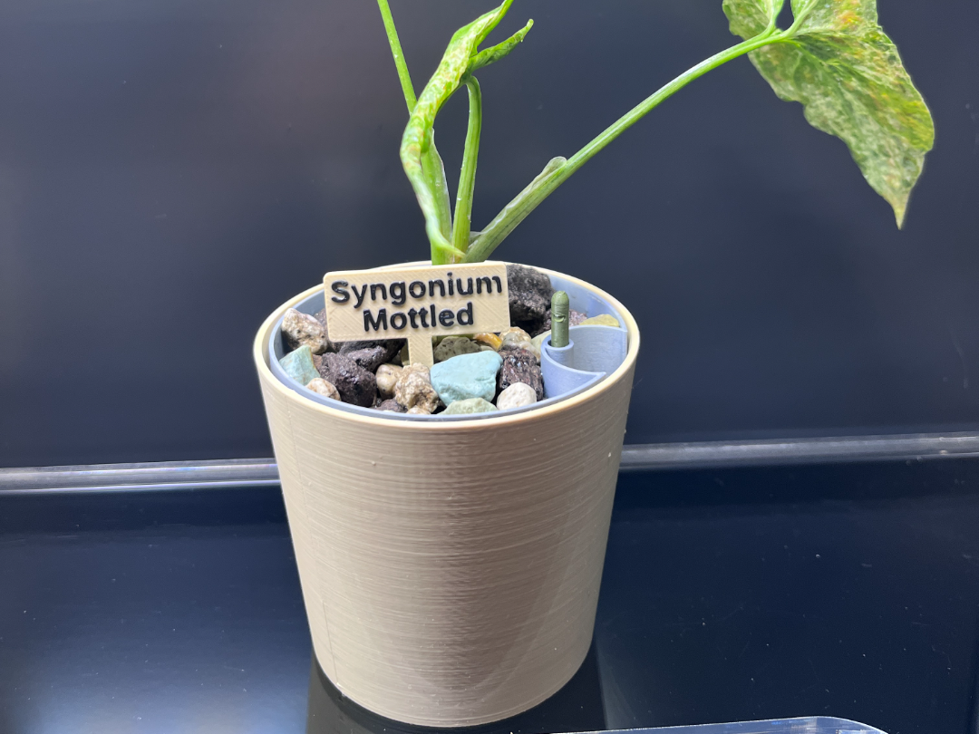 Basic Conic Plant Pot