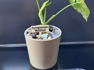 Basic Conic Plant Pot