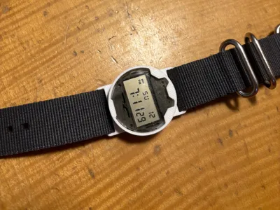 MicroPole- Casio F91-W Mod