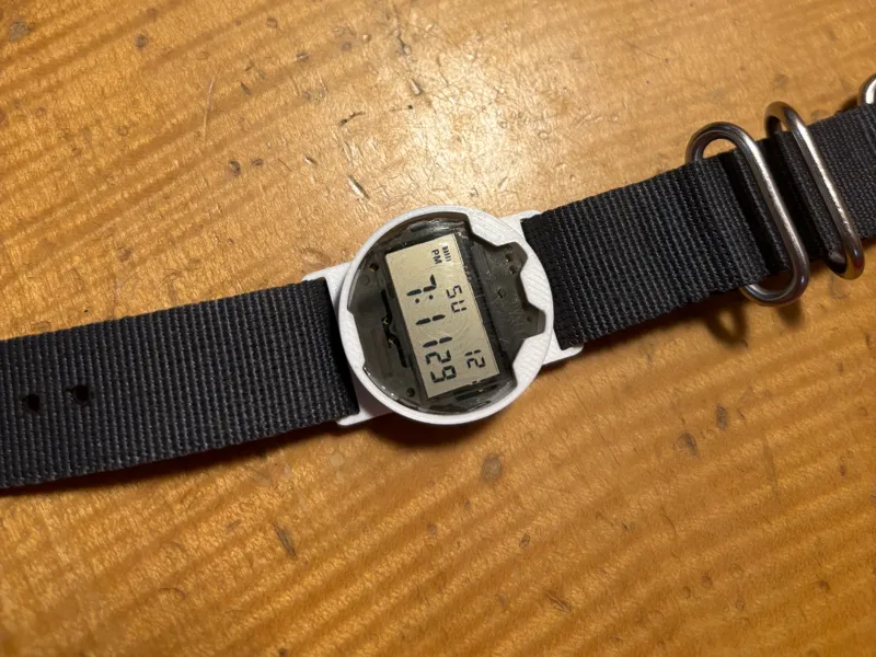 MicroPole- Casio F91-W Mod