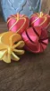 2 Pieces - Outer apple then Internal spiral with stem