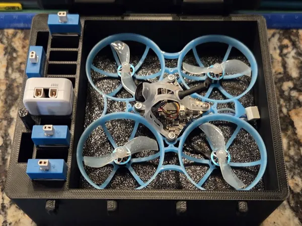 https://makerworld.bblmw.com/makerworld/model/US43b0d4dce2323a/design/8079002d9f5e509f.jpg