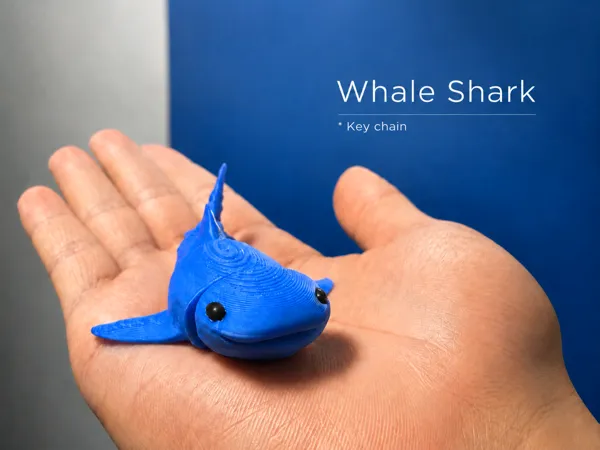 https://makerworld.bblmw.com/makerworld/model/US43c08322e68deb/design/00b4295702651b25.png