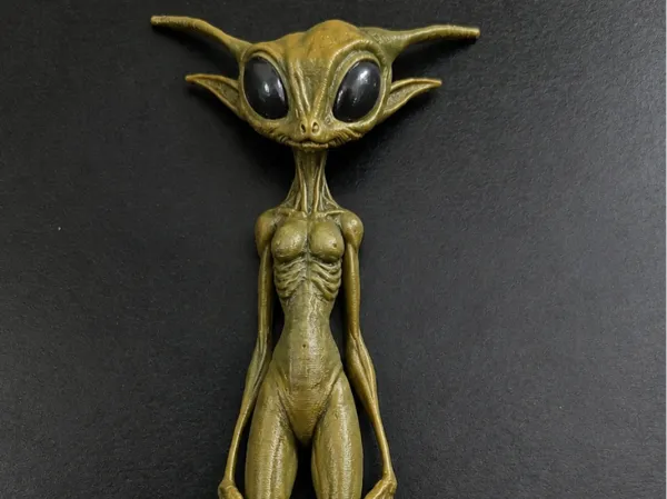 https://makerworld.bblmw.com/makerworld/model/US43c109d3bda9c2/design/9fb7e911a40ed244.png