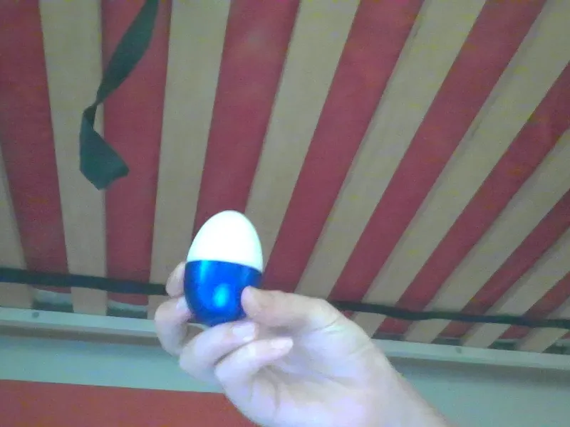 egg