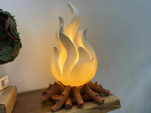 https://makerworld.bblmw.com/makerworld/model/US43c5454060b55f/design/2026-01-12_86681aa349be18.jpg