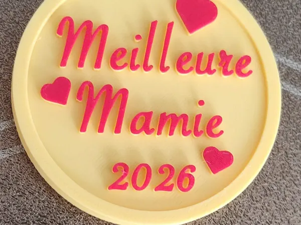 https://makerworld.bblmw.com/makerworld/model/US43c8fd2a348791/design/6916e3a95aa60508.png