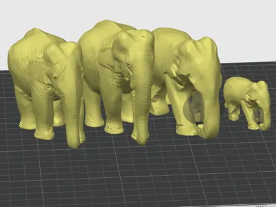 Elephant family