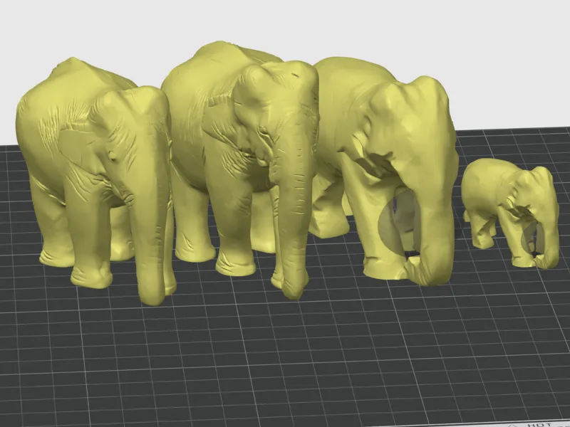 Elephant family