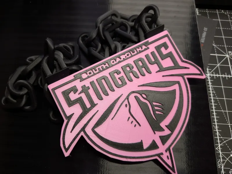 South Carolina Stingrays Medallion