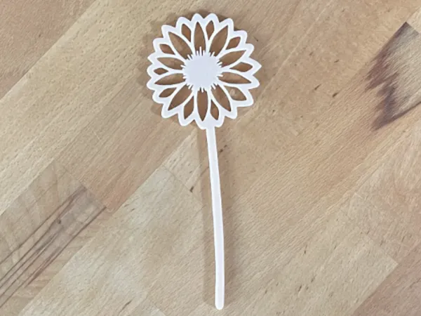 https://makerworld.bblmw.com/makerworld/model/US43cc2ec2db5538/design/2025-05-27_d81cf1fda37fd.jpeg