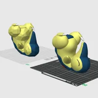 Spots fixed + low poly 0.2mm layer, 2 walls, 10% infill