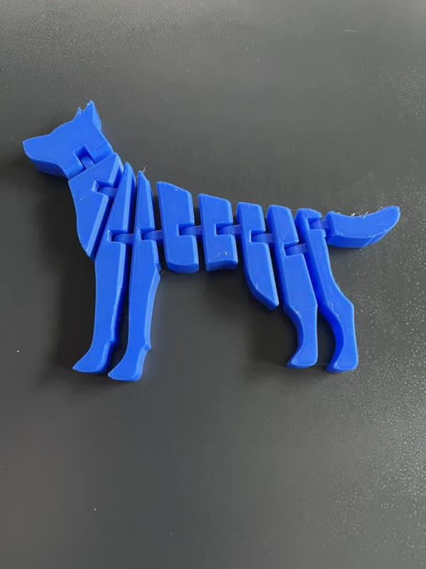 "Flexi" Dog2