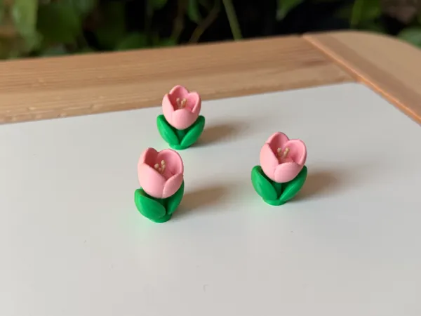 https://makerworld.bblmw.com/makerworld/model/US43d04237f4ffc7/design/d5b36f9c95fd0ba4.jpeg