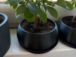 Bonsai pot