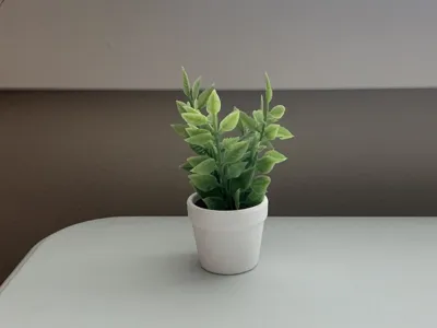 Small indoor potted plant