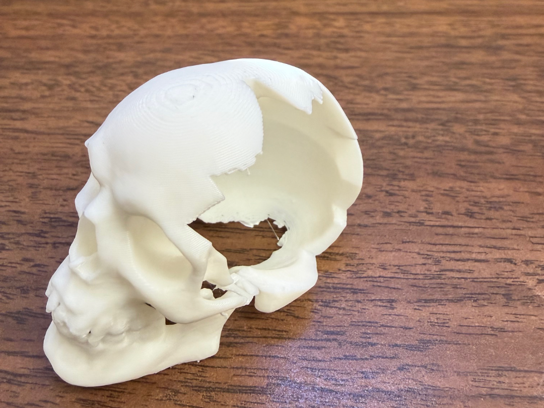 Broken Skull Spider Hide