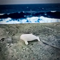 Baleine dodue miniature — photo 3