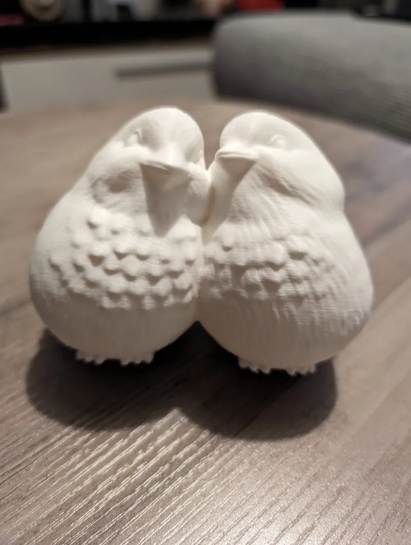 Birds