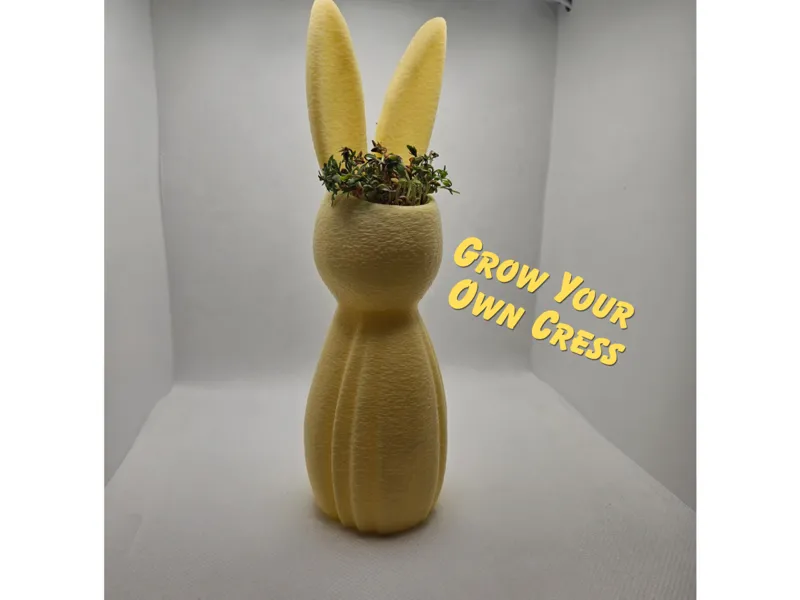 Easter Bunny Planter | Cress Pot Easy Print